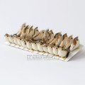 brabeți decorativi, crem-maro, corp crem cu pene naturale, pe sârmă, lungime 5 cm